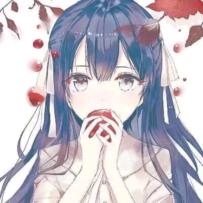 鋼鐵薔薇漫画封面